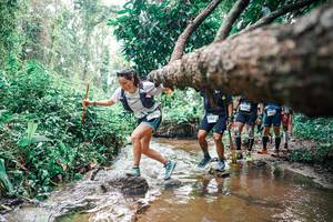 BIB: 
                            <button type="button" onclick="openModal(25374571)" class="btn btn-primary btn-sm float-right btn-popup" data-toggle="modal" data-target=".modal-high-quality">
                        <i class="fas fa-shopping-cart"></i> Add to Cart
                    </button>
                                            <button type="button" onclick="isThisMe(25374571, true)" class="btn btn-success btn-sm float-right btn-popup btn-isme hidden" data-toggle="tooltip" data-placement="bottom" title="นี่คือรูปของคุณใช่ไหม คลิกที่นี่เพื่อเอาเข้าอัลบั้ม">
                        <i class="fas fa-plus"></i> Add to album
                    </button>
                    <button type="button" onclick="isThisMe(25374571, false)" class="btn btn-warning btn-sm float-right btn-popup btn-isnotme hidden">
                        <i class="fas fa-ban"></i> Remove from album
                    </button>